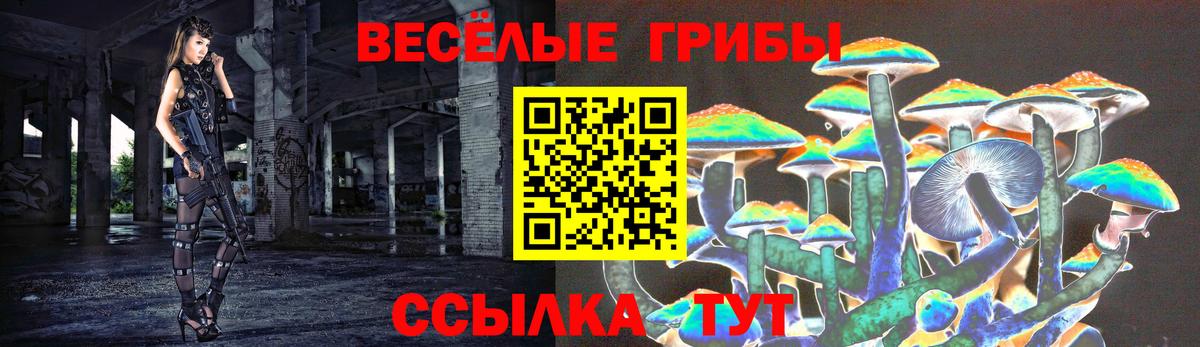 Псилоцибиновые грибы ЛСД Зеленодольск