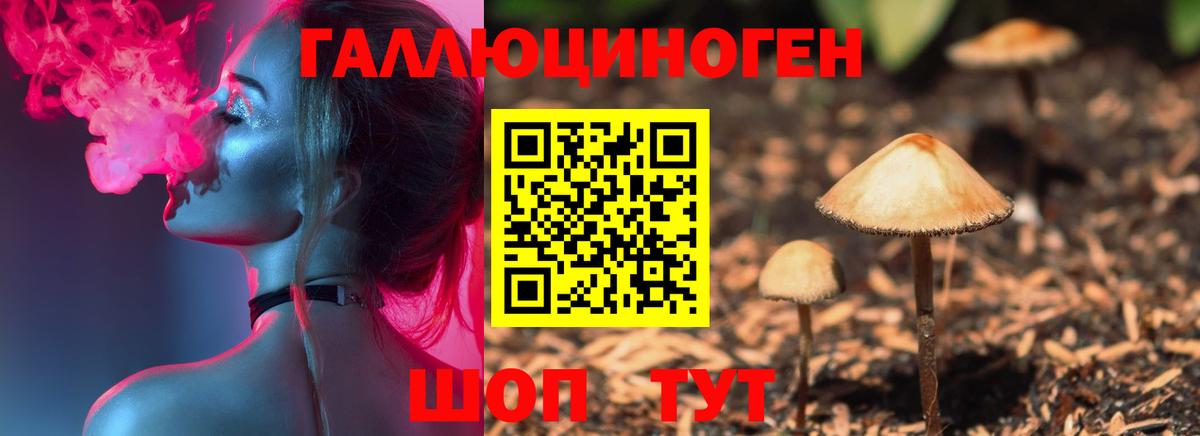 продажа наркотиков  Псилоцибиновые грибы мицелий  Вход с VPN  Зеленодольск  Псилоцибиновые грибы Cubensis 
